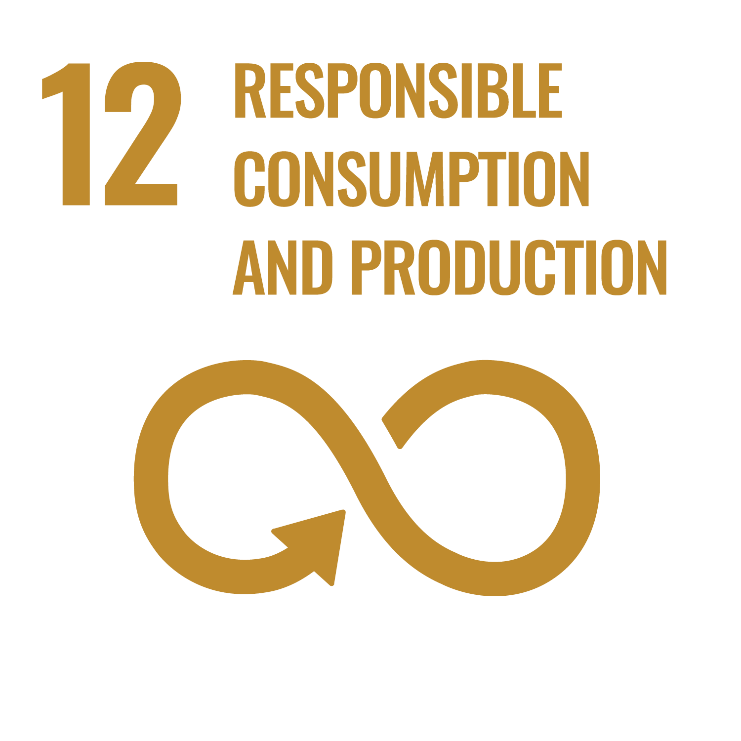 SDG 12 Responsible Consumption and Production
