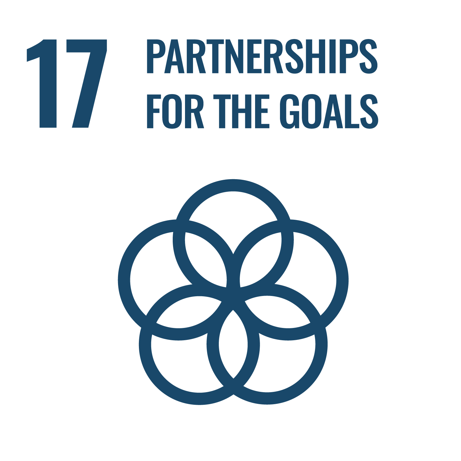 SDG 17 Partnerships for the Goals